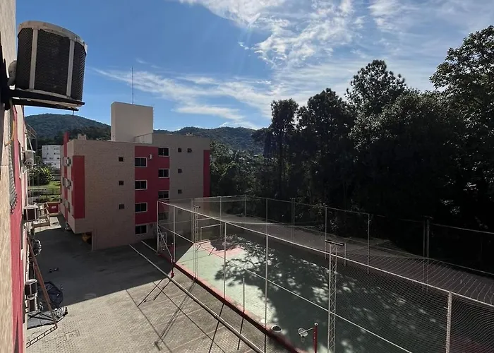 Ape Do Salomao